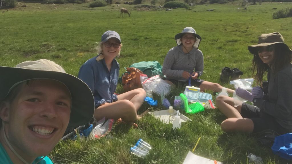 Field work in the Sierras